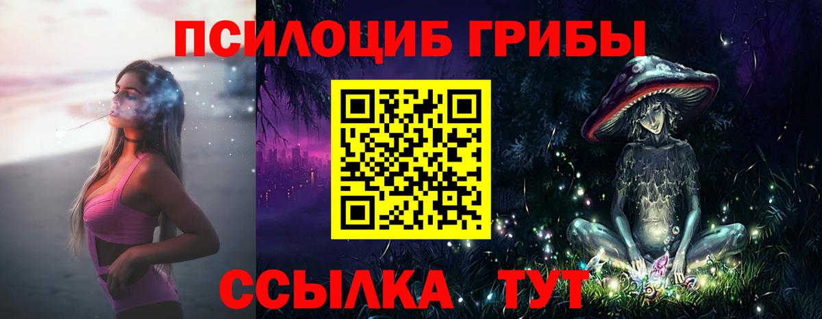 купить наркотик  Галлюциногенные грибы MAGIC MUSHROOMS  Красногорск  Вход с VPN  Галлюциногенные грибы Cubensis 